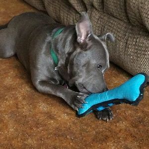 Meet your Posher, Tara